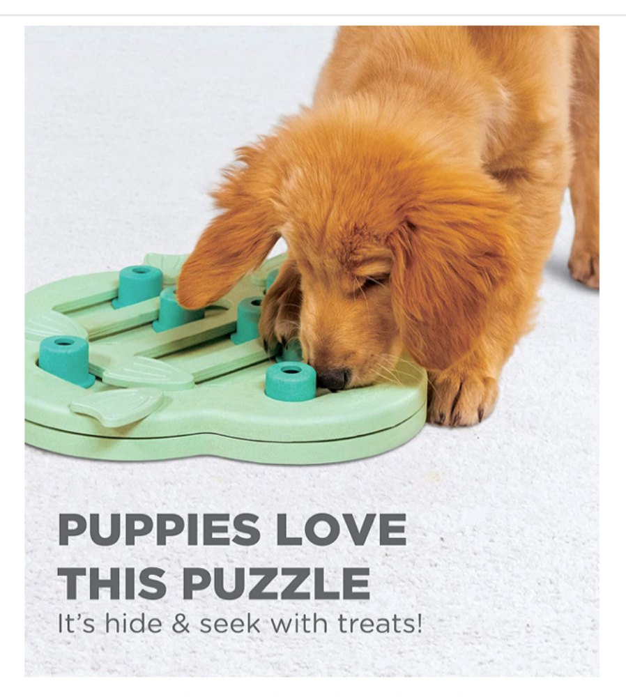 Outward Hound Dog Puppy Pet Treat Interactive Toy Puzzle-Level 2-Intermediate - forENVY