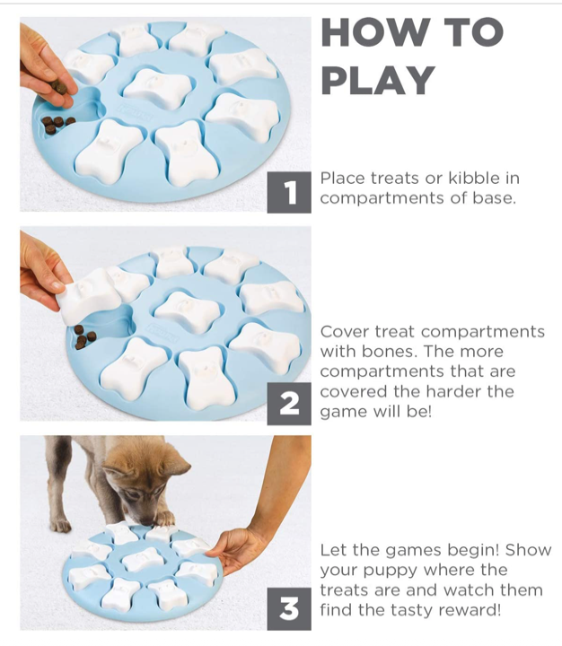 Outward Hound Smart Interactive Treat Puzzle Dog Toy, Blue, One-Size - forENVY