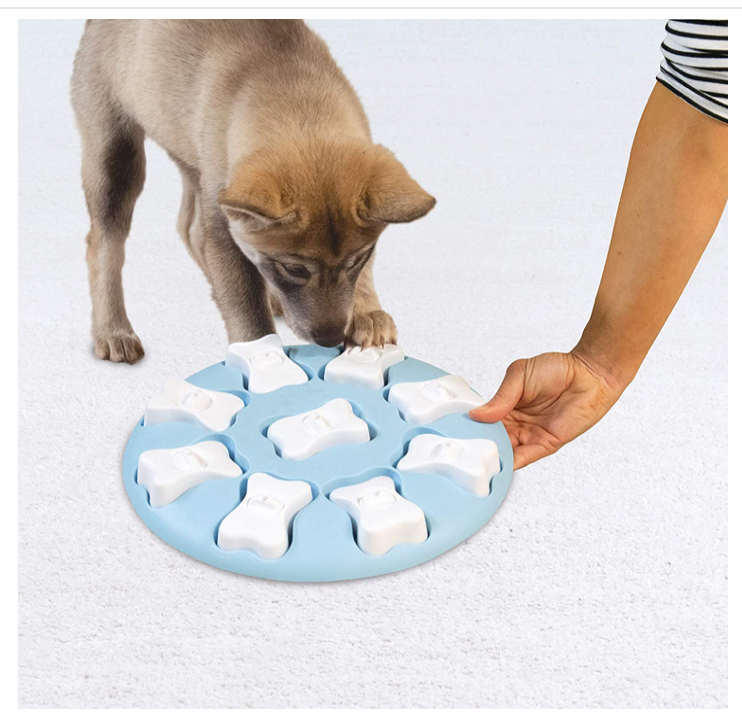 Outward Hound Smart Interactive Treat Puzzle Dog Toy, Blue, One-Size - forENVY