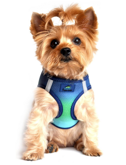 Doggie Design American River Choke Free Dog Harness - forENVY