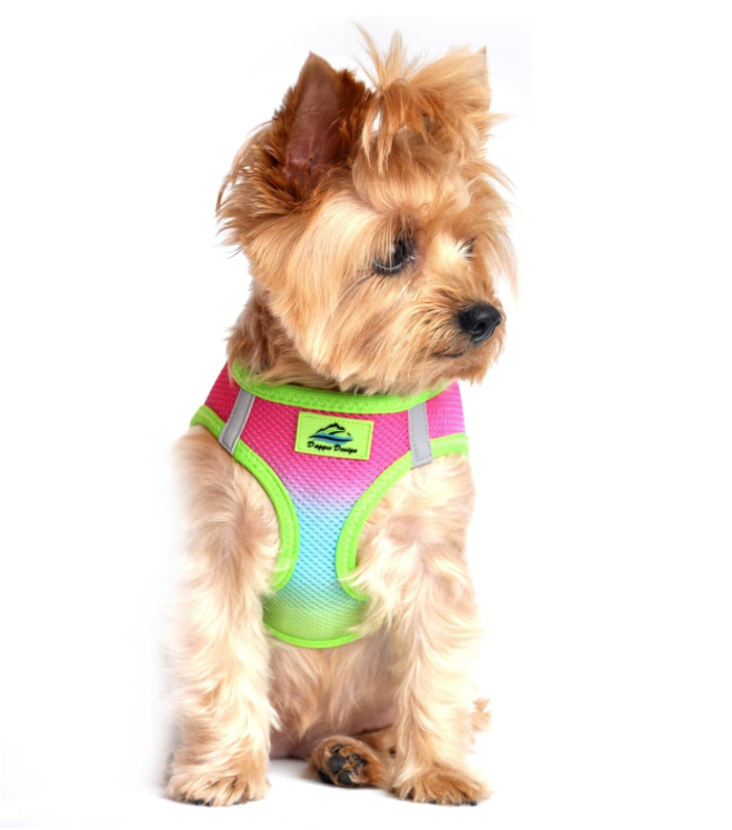 Doggie Design American River Choke Free Dog Harness - forENVY